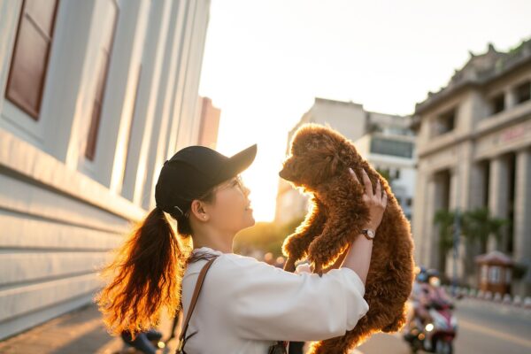 Beyond Kibble: Holistic Pet Wellness Strategies